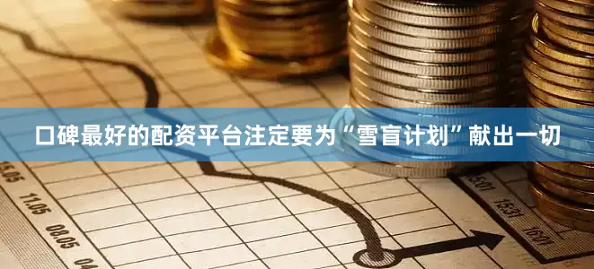 口碑最好的配资平台注定要为“雪盲计划”献出一切