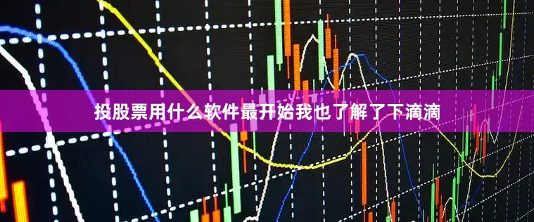 投股票用什么软件最开始我也了解了下滴滴