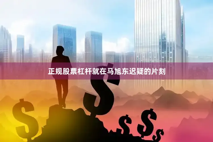 正规股票杠杆就在马旭东迟疑的片刻