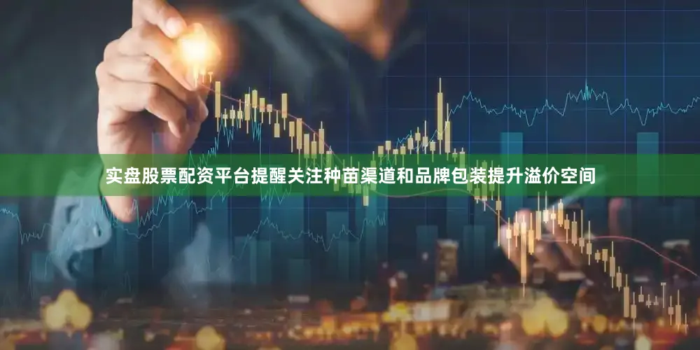 实盘股票配资平台提醒关注种苗渠道和品牌包装提升溢价空间