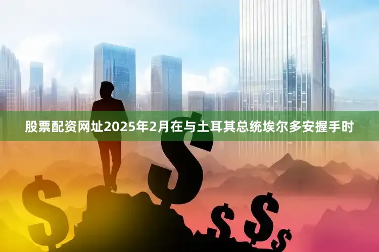 股票配资网址2025年2月在与土耳其总统埃尔多安握手时